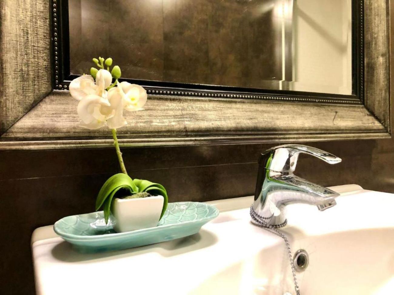 El Estudio Del Marques Little Apartments كاديز المظهر الخارجي الصورة
